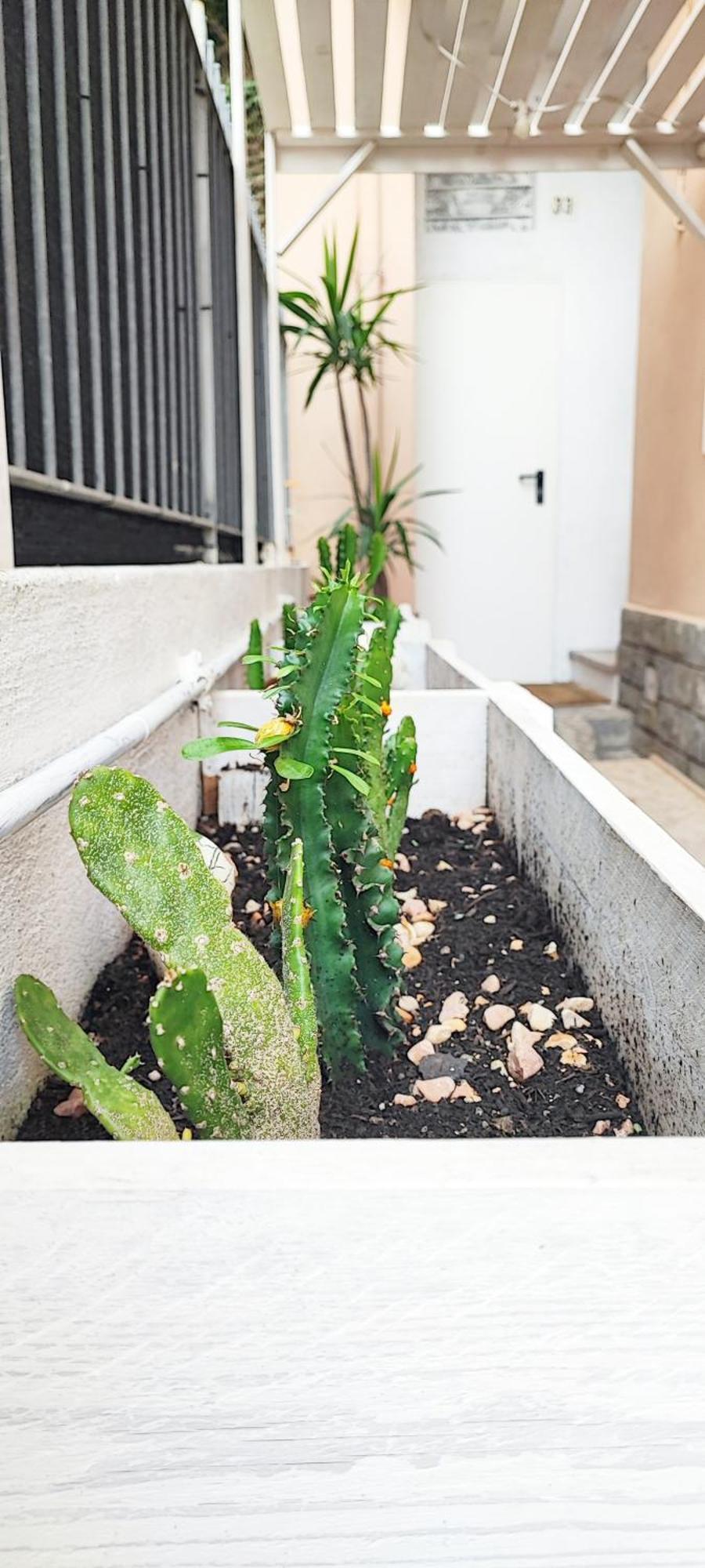 Apartamento Residenza Bibliososta Ventimiglia Exterior foto