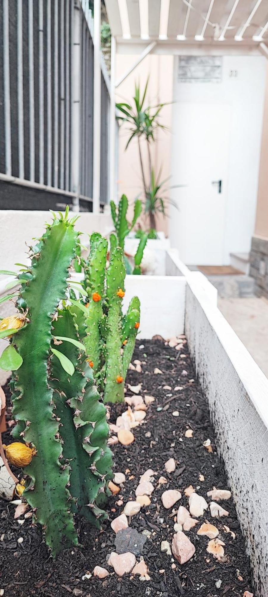 Apartamento Residenza Bibliososta Ventimiglia Exterior foto